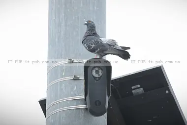 Флорида і Техас відмовляються від камер Flock