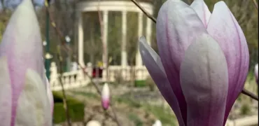 На тлі наступу люди повертаються до Харкова