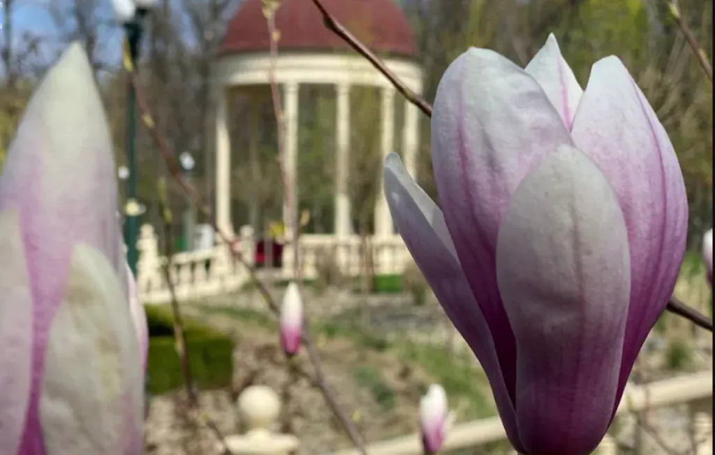 На тлі наступу люди повертаються до Харкова