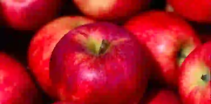 Apple запускає фонові оновлення безпеки і терміново закриває уразливість Safari