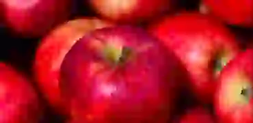 Apple запускає фонові оновлення безпеки і терміново закриває уразливість Safari