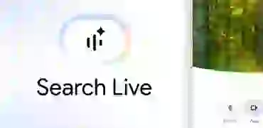 Google Search Live з голосом і камерою вже працює в Україні