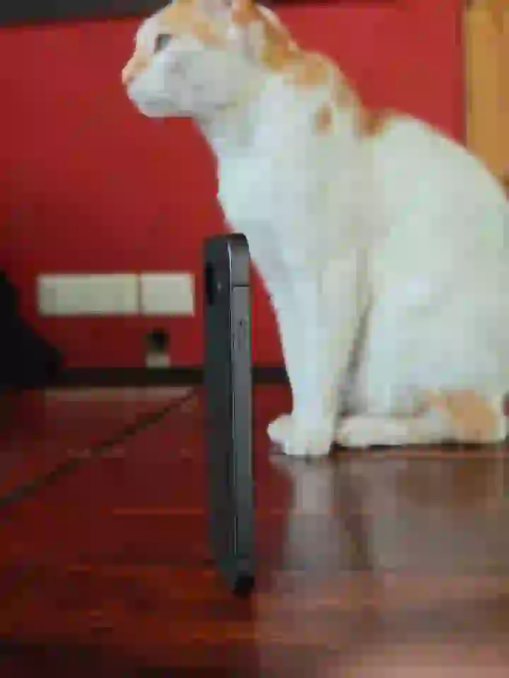 Pixel 10a отримує несподіване рішення без камери