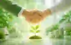 Схожа новина